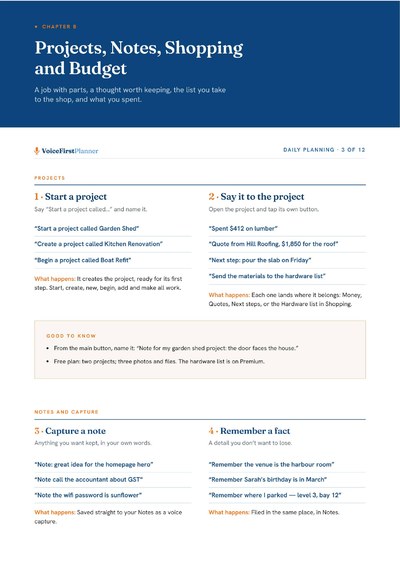 Daily Planning, 3 of 12, from the Voice Command Guide.